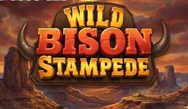 Wild Bison Stampede